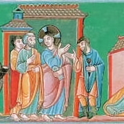 Codex aureus thumb