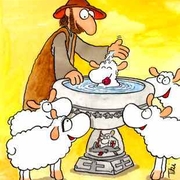 Die Getauften als weisse Schafe thumb